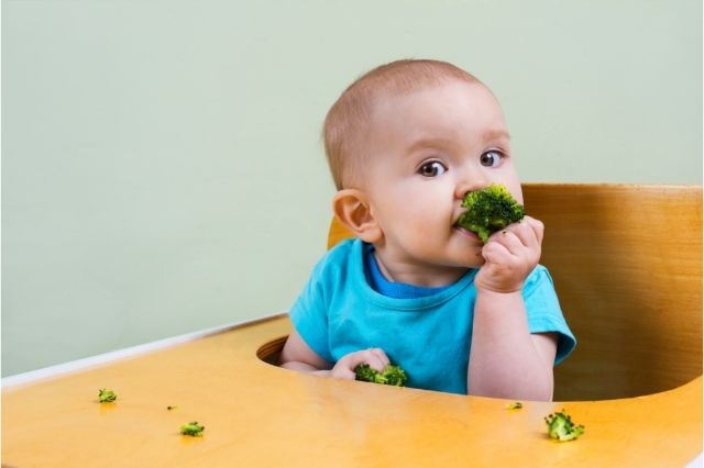 6 Aylık Bebekler İçin Brokoli Çorbası Tarifi
