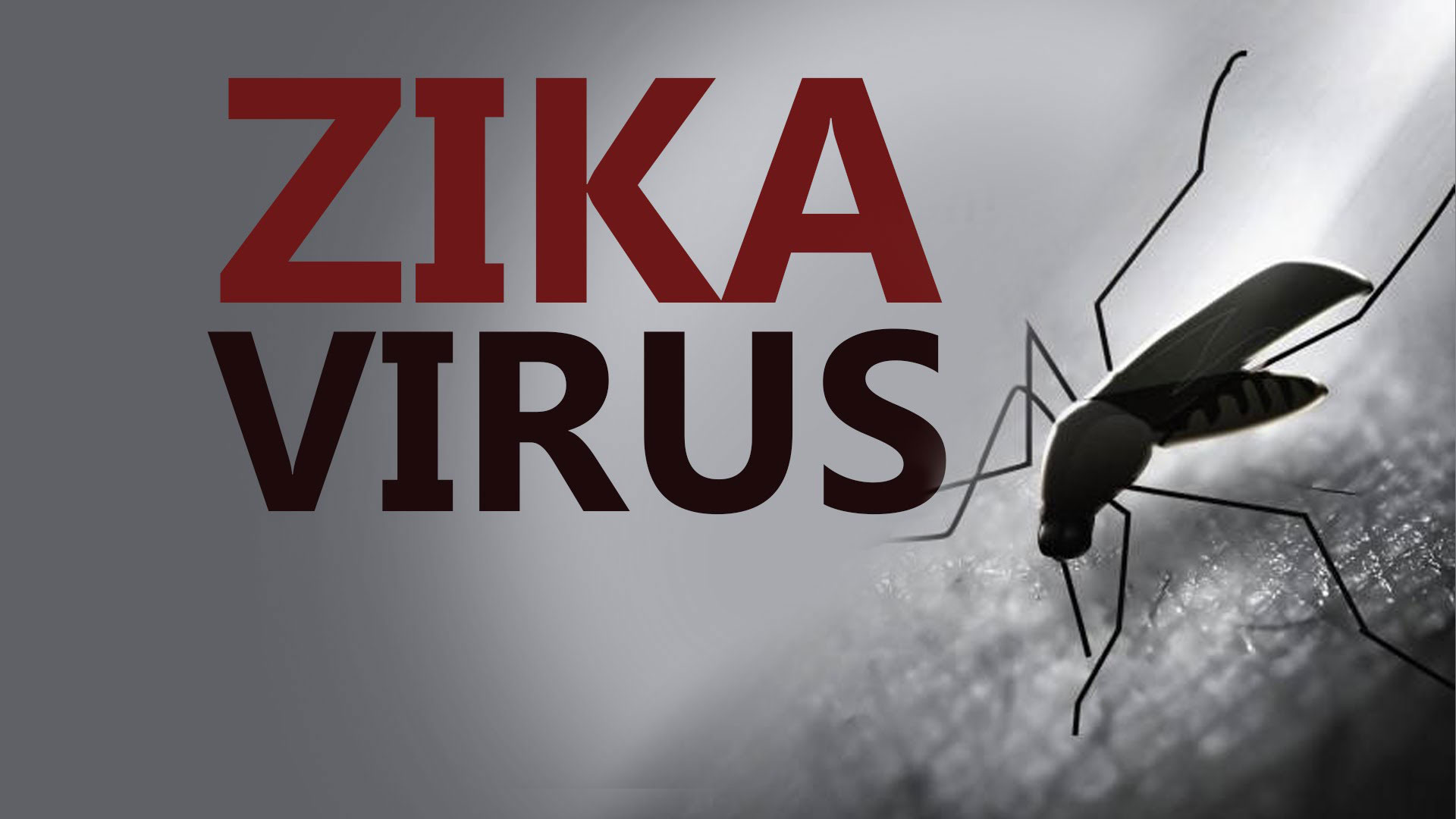 zika virüsü 