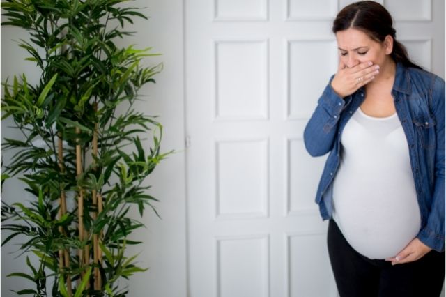 Hamilelikte Mide Yanması Neden Olur?